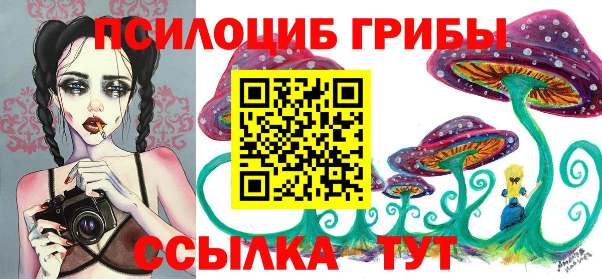 Псилоцибиновые грибы Cubensis  Вход с VPN  купить наркоту  Владивосток 