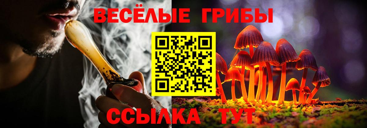 Галлюциногенные грибы Psilocybine cubensis Владивосток